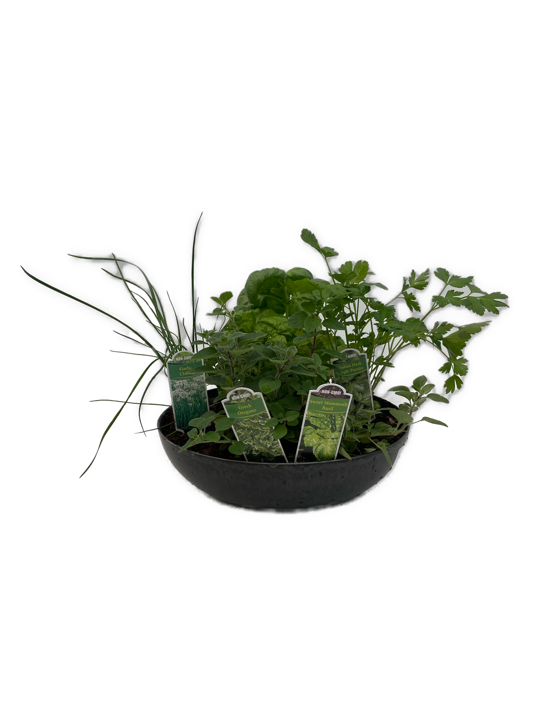 Herb - Edible Herb Planter (11 Inch) Product vendor