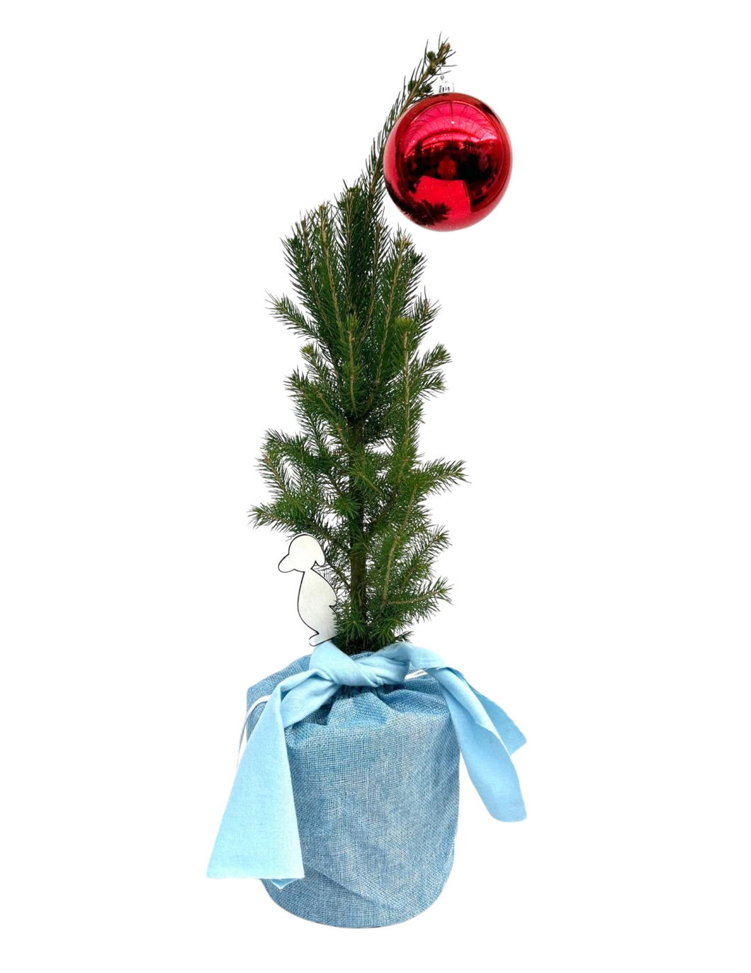 Christmas - Charlie Brown Tree (1 Gallon) Product vendor