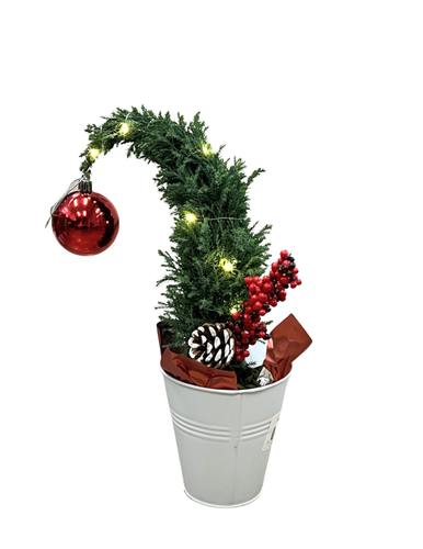 Christmas - Ellwoodii Grinch Tree (5 Inch Tin) Product vendor