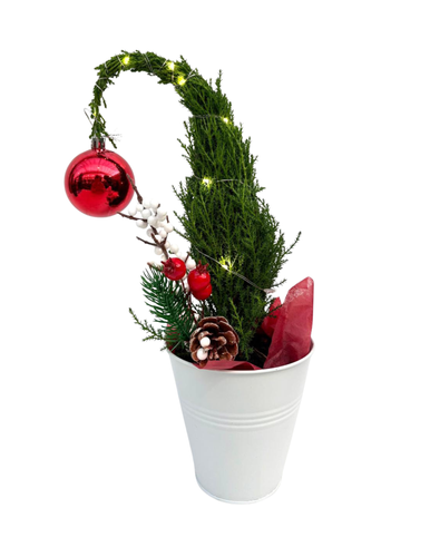 Christmas - Mirjam Grinch Tree (5 Inch Tin) Product vendor