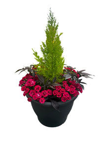 Mom's Garden - Premium Planter Product vendor