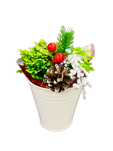 Christmas - Frosty Fern (5 Inch Tin)