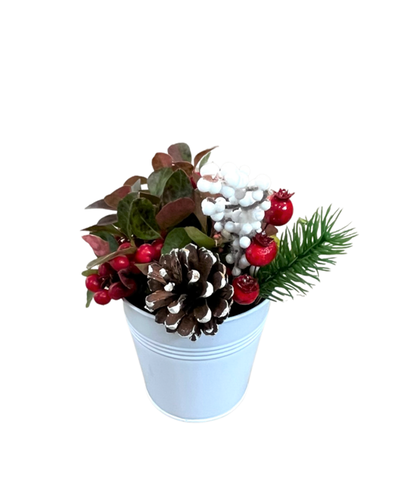 Christmas - Gaultheria 