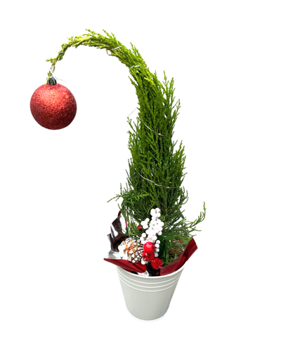 Christmas - Mirjam Grinch Tree (5 Inch Tin) Product vendor
