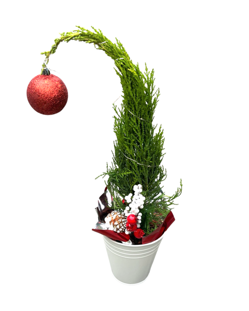 Christmas - Mirjam Grinch Tree (5 Inch Tin) Product vendor