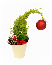 Load image into Gallery viewer, Christmas - Wilma Grinch Tree (4 Inch Tin) Product vendor

